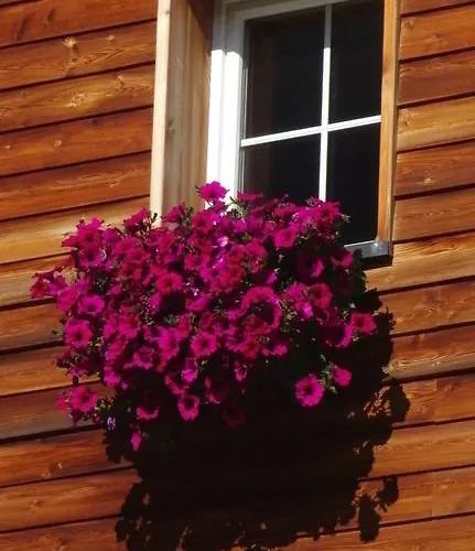 Haus Oberwirl 加尔蒂