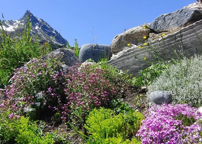 公寓 Haus Oberwirl 加尔蒂