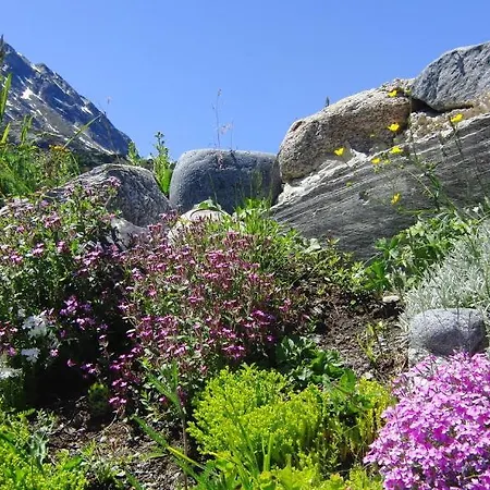 Apartment Haus Oberwirl Galtuer